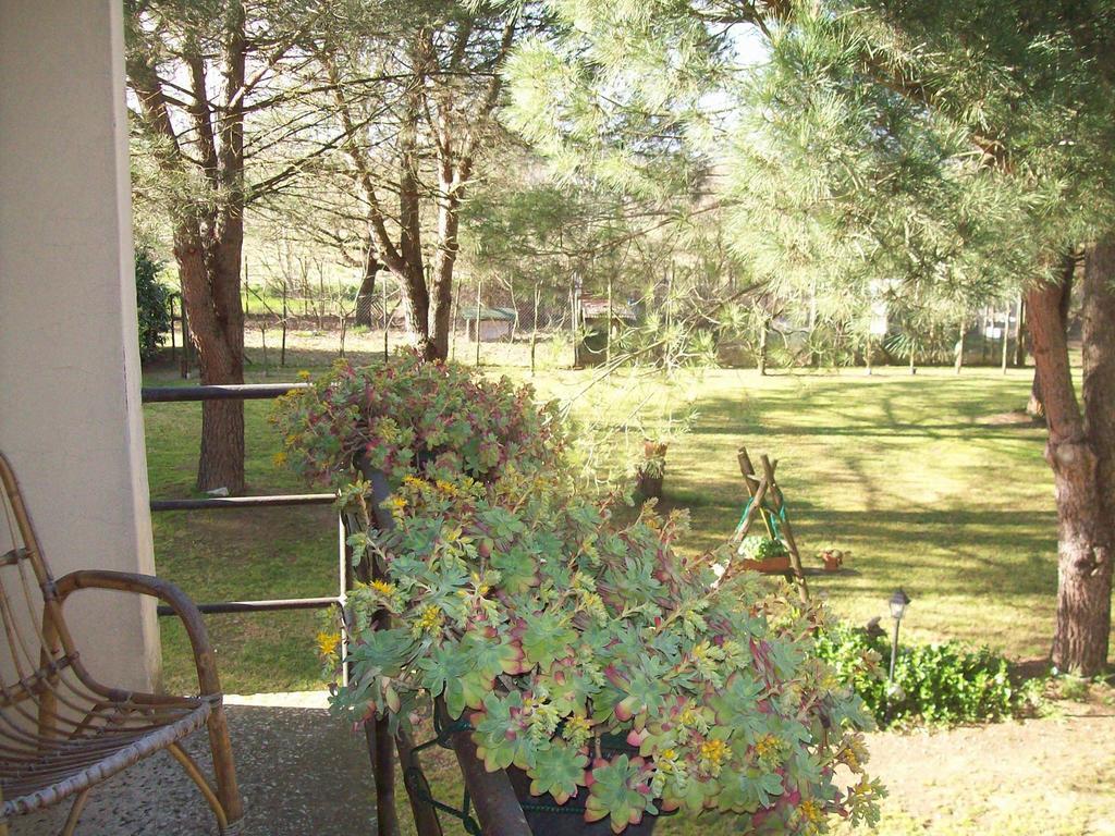 Campo Alle Monache Bucine Rom bilde
