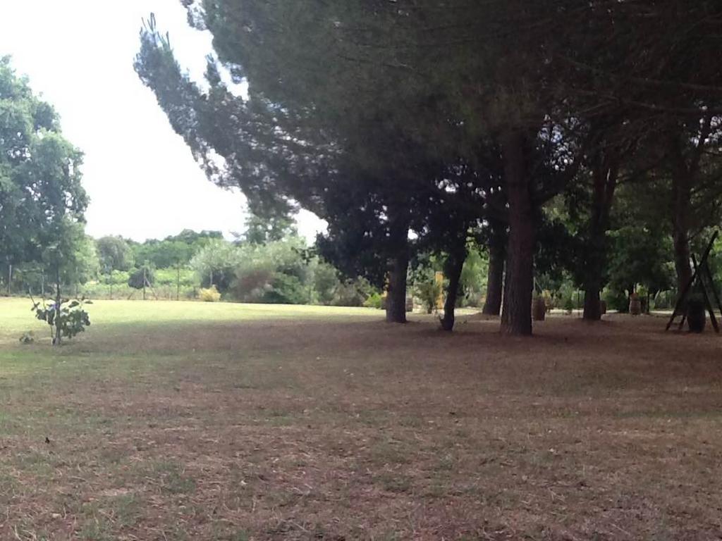 Campo Alle Monache Bucine Eksteriør bilde