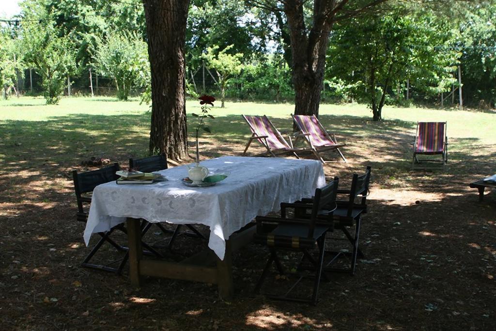 Campo Alle Monache Bucine Eksteriør bilde